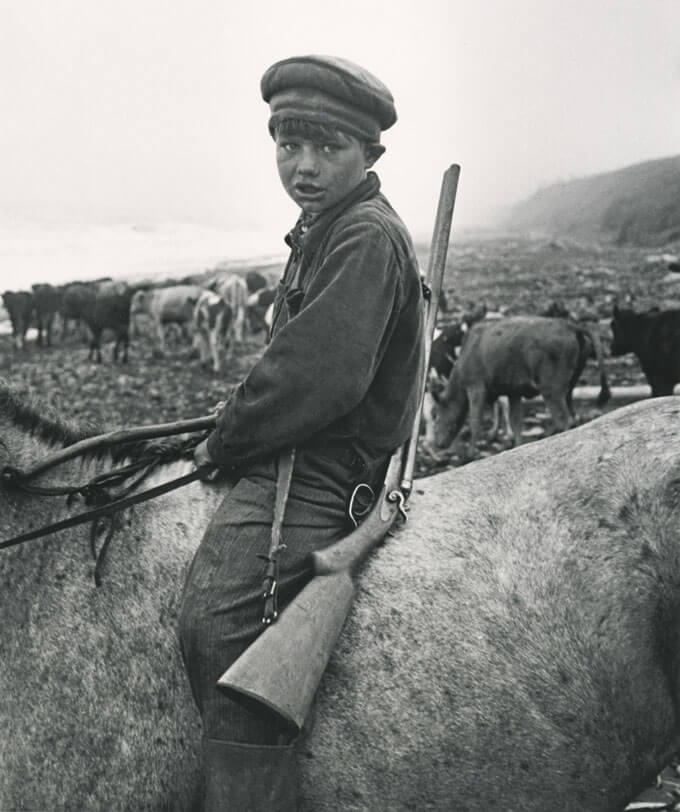 A black and white photo of a young boy with a rifle, riding a horse and herding cattle.