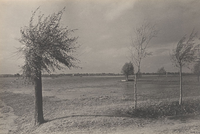Trees in the fall in France.