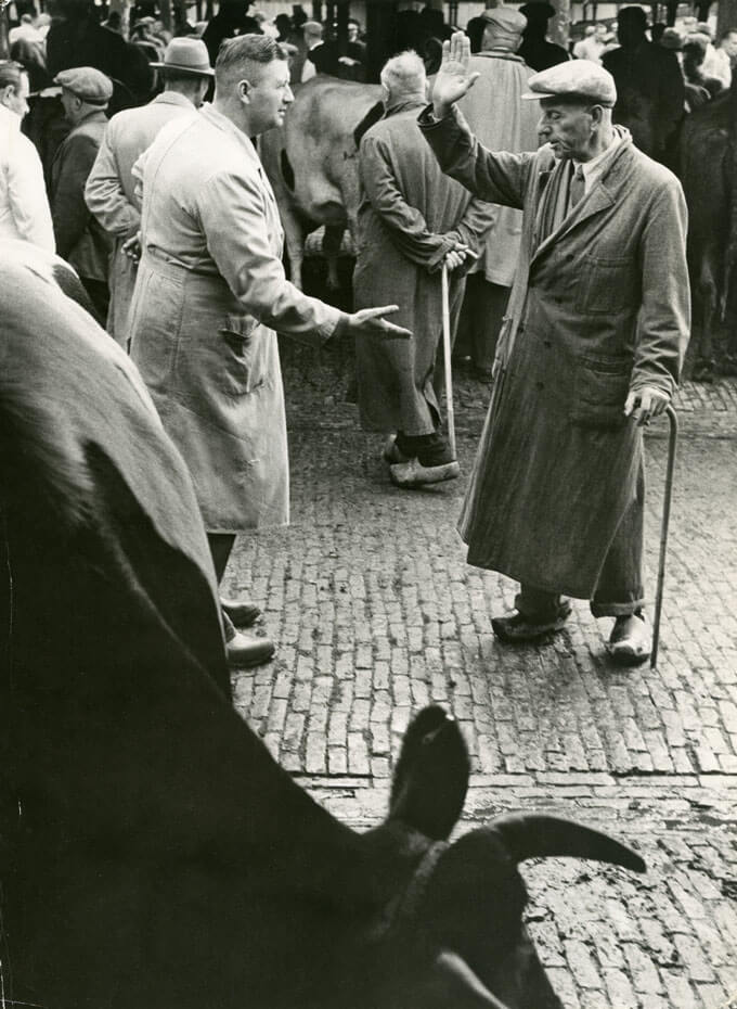Buying and selling in a cattle market, Amsterdam, Holland, 1958