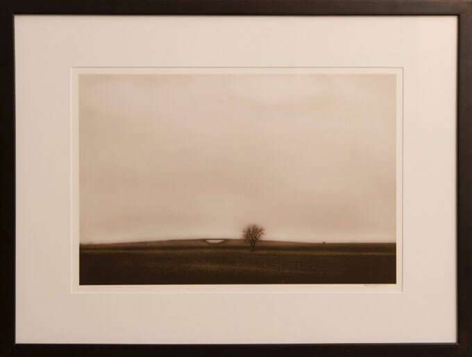 Sepia tone––shades of brown––photo of a landscape with an overpass, a single tree, and an open sky