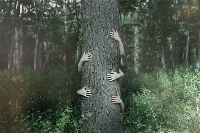 Untitled (from creature series)