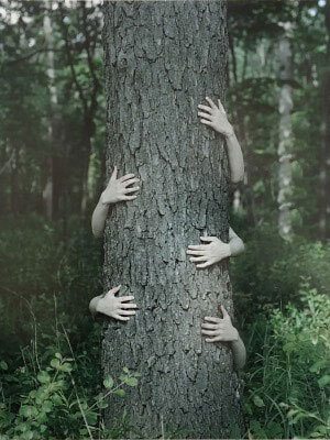 Untitled from the creature series