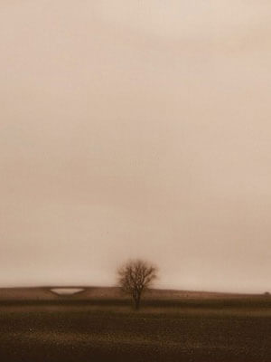 Sepia tone––shades of brown––photo of a landscape with an overpass, a single tree, and an open sky