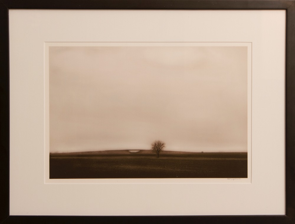 Sepia tone––shades of brown––photo of a landscape with an overpass, a single tree, and an open sky 